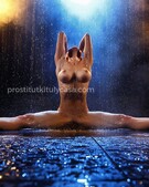 Анкета проститутки Инна - метро Тверской, возраст - 29